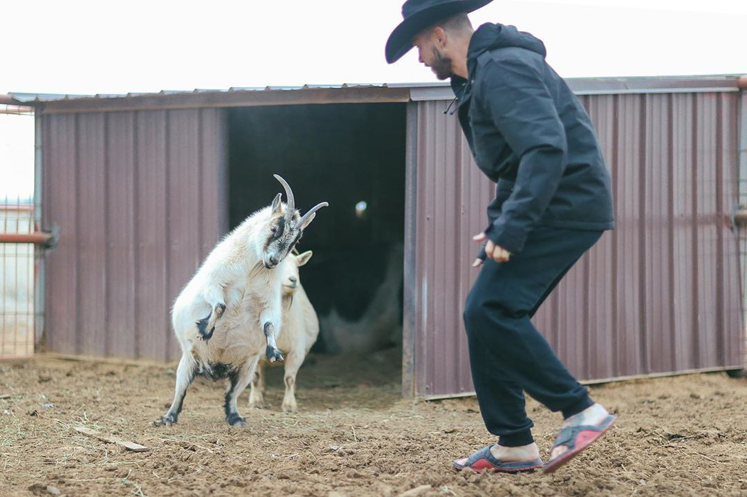  Donald Cerrone asks his fighters to help out with the animals