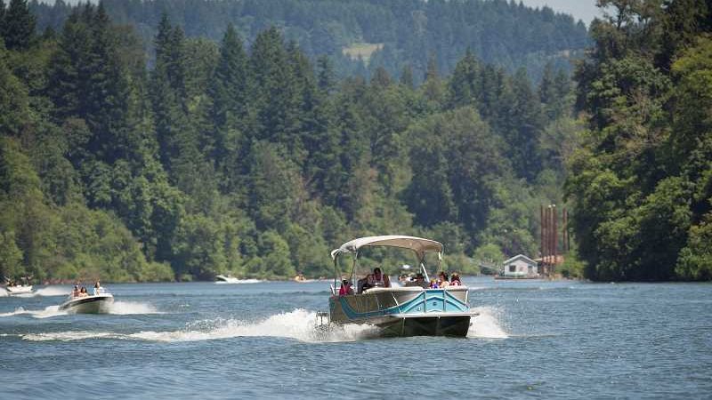 Do wake boats harm endangered species? – Pamplin Media Group