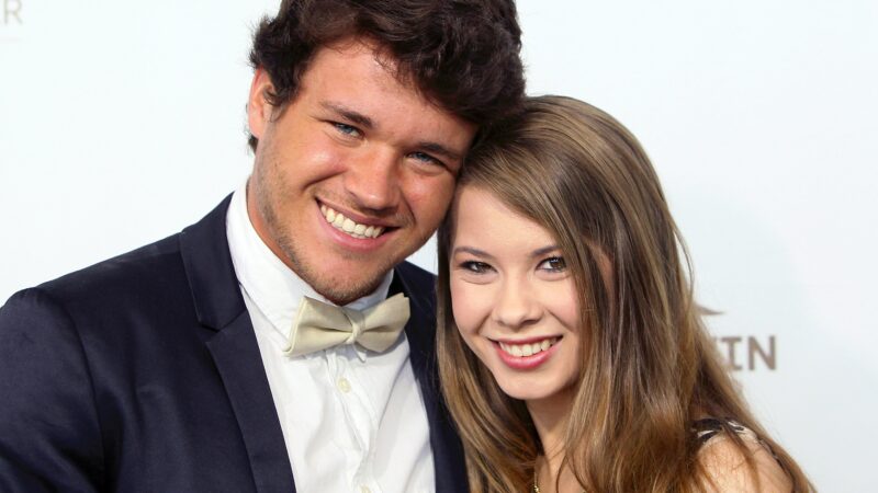 Bindi Irwin Shares Tear-Jerking Wedding Photo Art Featuring Her Late Dad Steve Irwin – AmoMama