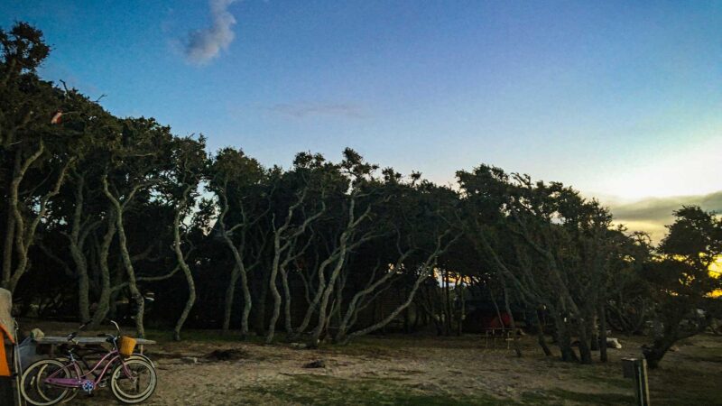 Everything You Need to Know About Camping in North Carolina’s Outer Banks – Travel + Leisure