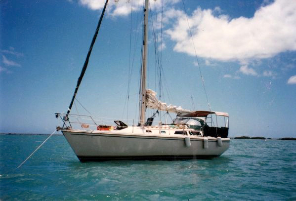 Knotwood: the 36-foot Catalina sloop that helped save John, the windsurfer | Photo: Dougherty Archive